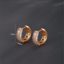 Load image into Gallery viewer, Hip-Hop Diamond Hoop Round Earrings
