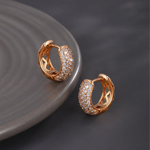 Load image into Gallery viewer, Hip-Hop Diamond Hoop Round Earrings
