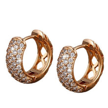 Load image into Gallery viewer, Hip-Hop Diamond Hoop Round Earrings
