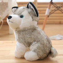 Load image into Gallery viewer, Lovely Doll Husky
