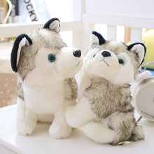Load image into Gallery viewer, Lovely Doll Husky
