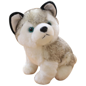 Lovely Doll Husky