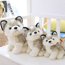 Load image into Gallery viewer, Lovely Doll Husky
