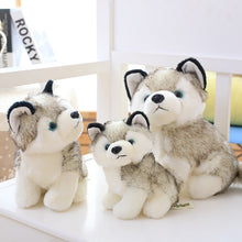 Load image into Gallery viewer, Lovely Doll Husky
