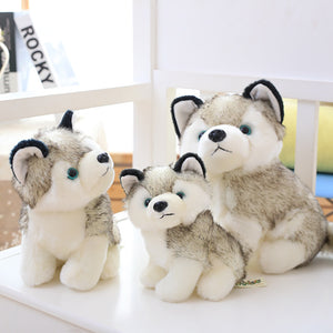 Lovely Doll Husky